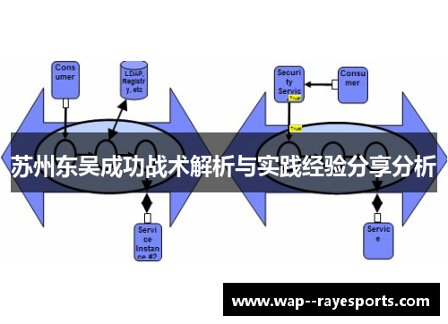 苏州东吴成功战术解析与实践经验分享分析